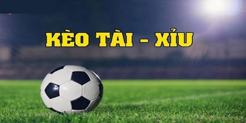 Cược tài xỉu khá phổ biến