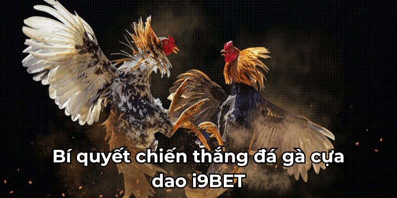 Bí quyết chiến thắng đá gà cựa dao i9BET