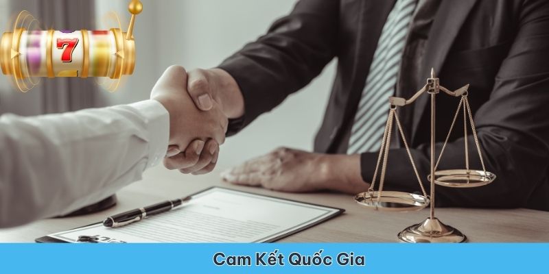 Cam kết tuân thủ các quy định quốc gia