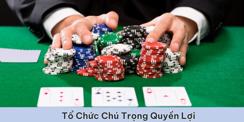 Tổ chức luôn chú trọng quyền lợi và an ninh của người dùng